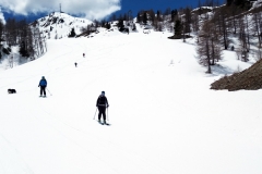 Descente Sapin