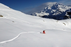 Session Freeride aux pied du Mont Blanc (73)