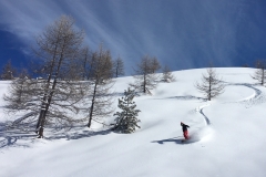 Session Freeride Isola 2000  (06)