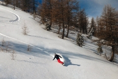 Session Freeride Isola 2000  (06)